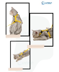 Kedi Tasması Kedi Gögüs Bel Ayarlanabilir Tasma Sarı 2CM